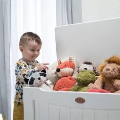 Boori Toy Box 8 Boori Toy Box -Baby Care Shop 108554 c006c591 6f09 4ea3 8af7 01bcdfd8161d