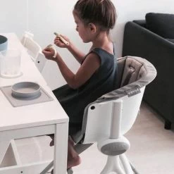 Beaba Up & Down High Chair -Baby Care Shop 113466