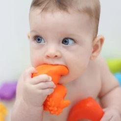 Playgro Jungle Fun Friends 14 Playgro Jungle Fun Friends -Baby Care Shop 113584 3cf735c9 7de1 4af5 b83b e32c8f3d61c1