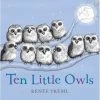 Ten Little Owls 1 Ten Little Owls -Baby Care Shop 114635