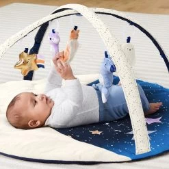 Skip Hop Celestial Dreams Activity Gym -Baby Care Shop 128214 517d12da dbe3 42df bca4 f4cb8940b491
